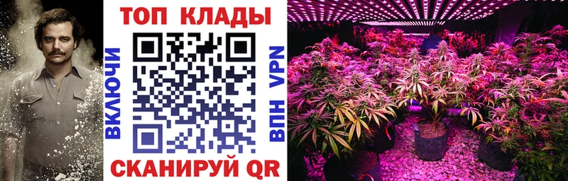 Где купить Любим Псилоцибиновые грибы  COCAIN  Меф  Марихуана  ГАШ 